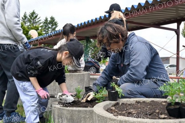 地域の大人や保護者と協力して花苗を植える児童たち