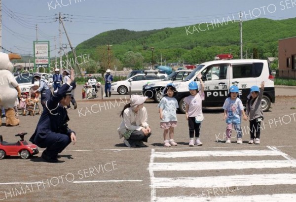 横断歩道の渡り方を学ぶ園児