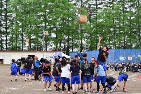 どのチームがすべての球をかごに入れられるか？戦略が光った玉入れ競争（３１日、更別中央、近藤周撮影）