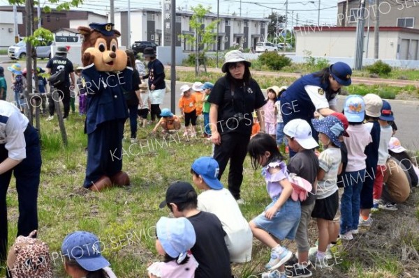 チャーミーくん大人気？　帯広署で園児招き「ひまわりの絆プロジェクト」～こぼれ話