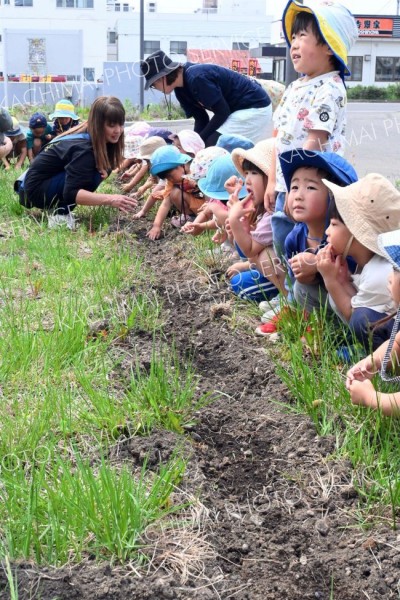 チャーミーくん大人気？　帯広署で園児招き「ひまわりの絆プロジェクト」～こぼれ話 2