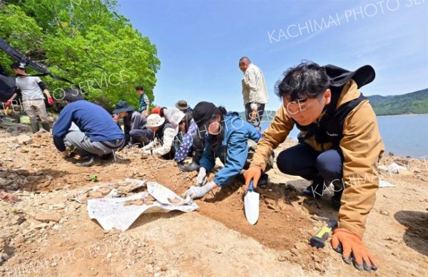 １００万年前の地層から化石ごろごろ　糠平湖畔で発掘イベント開催 7