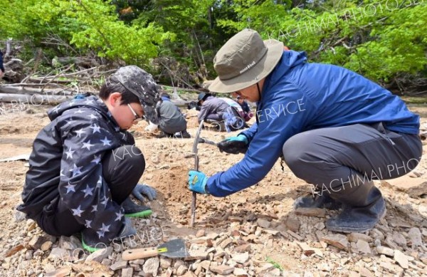 １００万年前の地層から化石ごろごろ　糠平湖畔で発掘イベント開催 9
