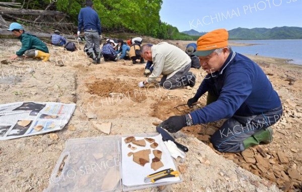 １００万年前の地層から化石ごろごろ　糠平湖畔で発掘イベント開催 10