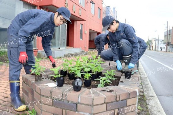駅前やメイン通りを憩いの場に　清水高生らが植栽