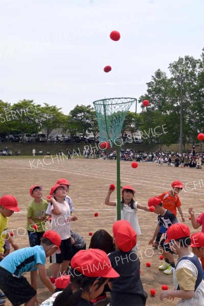 かごの中をよく狙ってそれっ入れ！（７日、音更鈴蘭、内形勝也撮影）