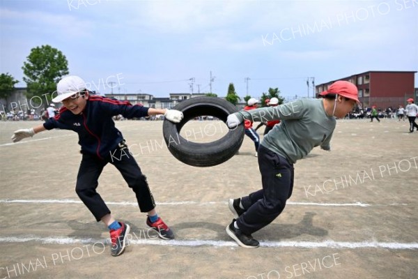 「この勝負五分五分？」。タイヤを引っ張り合う６年生（７日、帯広光南、須貝拓也撮影）