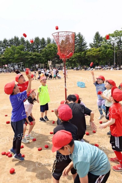 「わくわく玉入れ」で一生懸命かごに玉を投げ込む２年生の児童ら（７日、帯広、助川かおる通信員撮影）