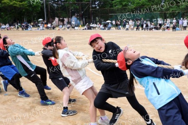 力を合わせて精いっぱい綱を引く５、６年生の児童（７日、帯広、助川かおる通信員撮影）