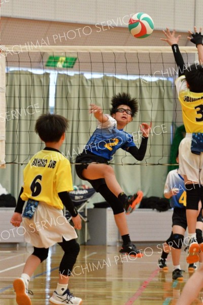 稲田プリンス男子、下音更ウィングス女子Ｖ、混合は豊頃ランバーズ　全日本小学生バレー帯広地区予選