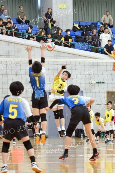 稲田プリンス男子、下音更ウィングス女子Ｖ、混合は豊頃ランバーズ　全日本小学生バレー帯広地区予選 4