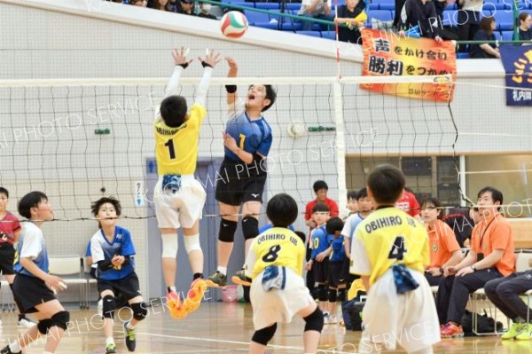 稲田プリンス男子、下音更ウィングス女子Ｖ、混合は豊頃ランバーズ　全日本小学生バレー帯広地区予選 5