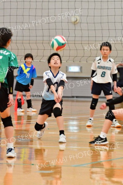 稲田プリンス男子、下音更ウィングス女子Ｖ、混合は豊頃ランバーズ　全日本小学生バレー帯広地区予選 10