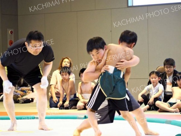 ７５人が熱闘　全十勝小学生対抗相撲選手権大会