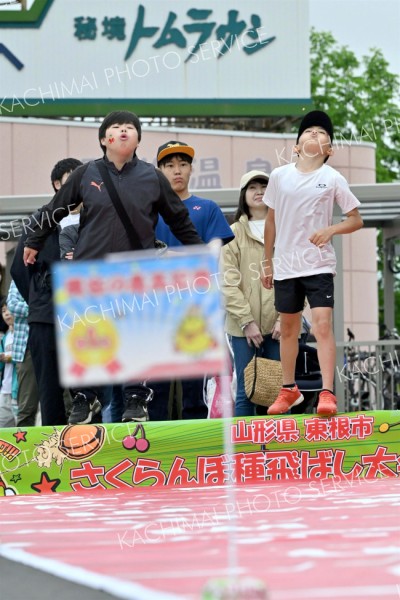 新記録目指して―。さくらんぼの種飛ばしに挑戦する子ども