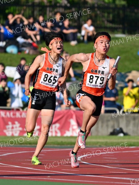 【男子４００メートルリレー決勝】バトンを渡した４走の今野陽翔（右）に向かって大声で応援する３走