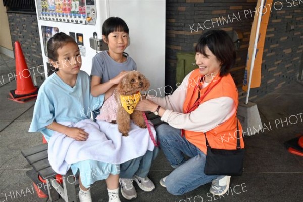 セラピー犬と触れ合い　やよい乃湯でイベント