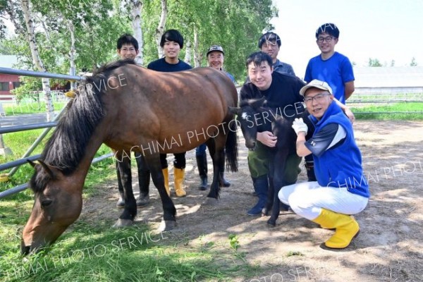 体外受精で生まれた子馬（