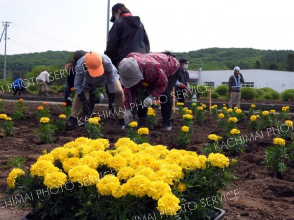 花の苗を植える参加者