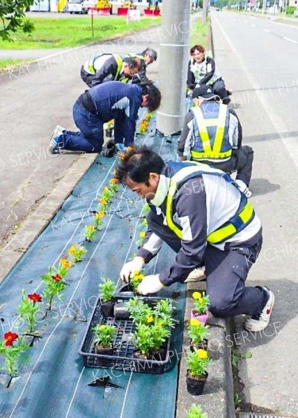 広尾の拓殖工業が花の植栽奉仕