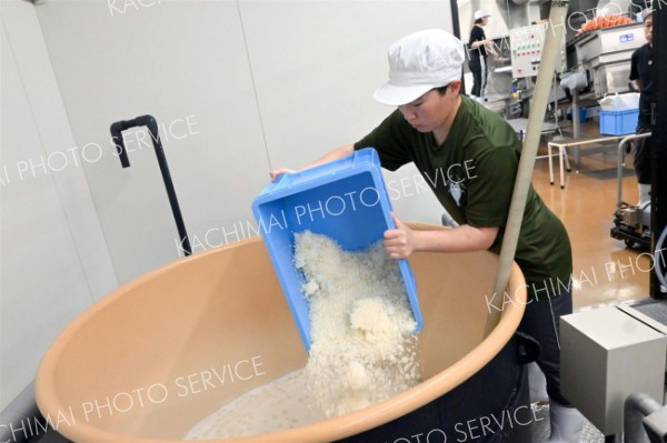 タンクの中に酒米を投入する学生