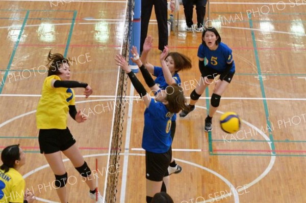 帯広柏林初Ｖ　鳥彦・彦左衛門杯ママさんバレー大会