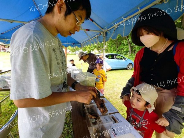 昆虫展示などのイベントが催され、多くの親子連れが訪れた感謝祭