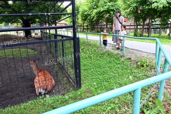 おびひろ動物園が７日ぶりに再開