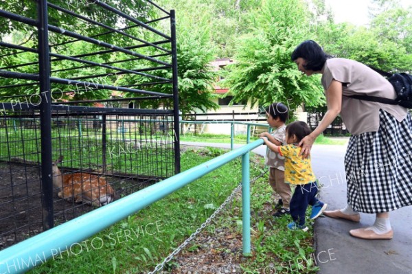 動物を見て歓声を上げる子どもたち（２７日午前１０時半ごろ）