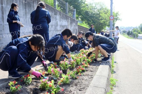 池高坂の町道沿で花壇整備　池田高校