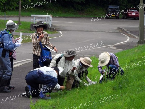 森林公園で花を観察する参加者たち