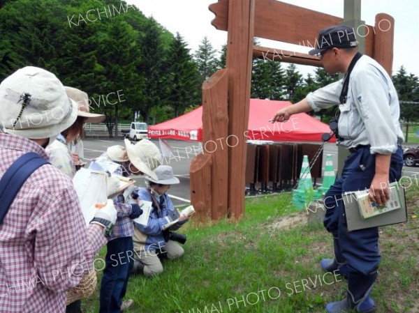 森林公園で花を観察する参加者たち