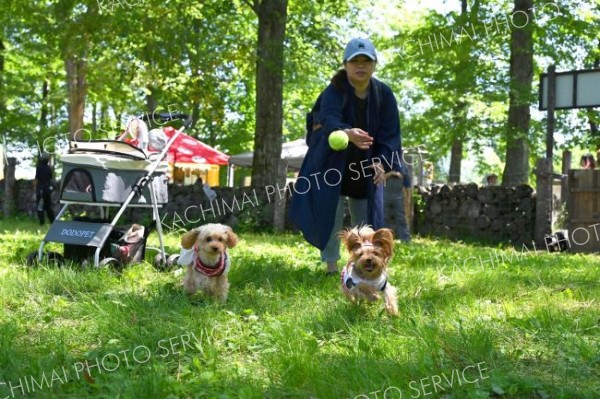 広々としたドッグランで愛犬も大満足　芽室の新嵐山で「ＷＡＮ　ＰＥＡＣＥ」開催