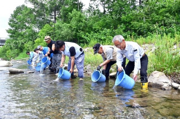 管内の川でヤマメ放流　釣り解禁