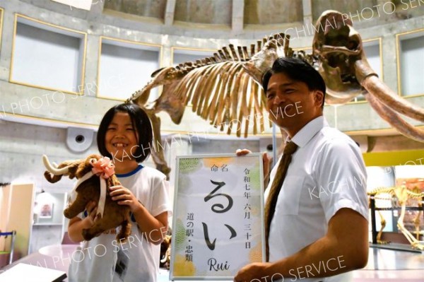 ナウマンゾウ縫いぐるみの愛称は「るい」　忠類小３年生発案