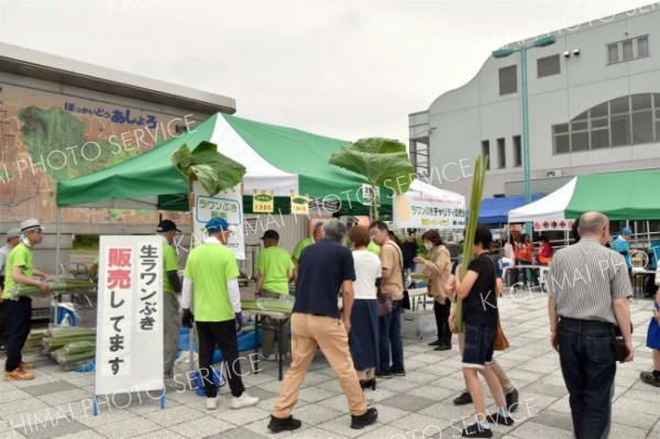 足寄町特産ラワンブキをＰＲ　道の駅でまつり
