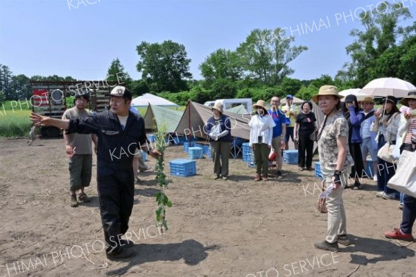 消費者が音更の佐藤農場マスタード畑見学　札幌のセルクル企画