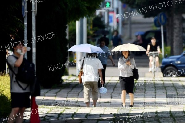 今季初の猛暑日　帯広３５・２度　管内に熱中症警戒アラート　あす３７度予想 写真5（７日午前９時４０分ごろ、帯広市内で。塩原真撮影）