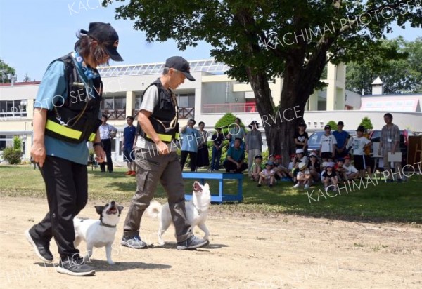 災害救助犬の訓練を木陰から見学する児童ら