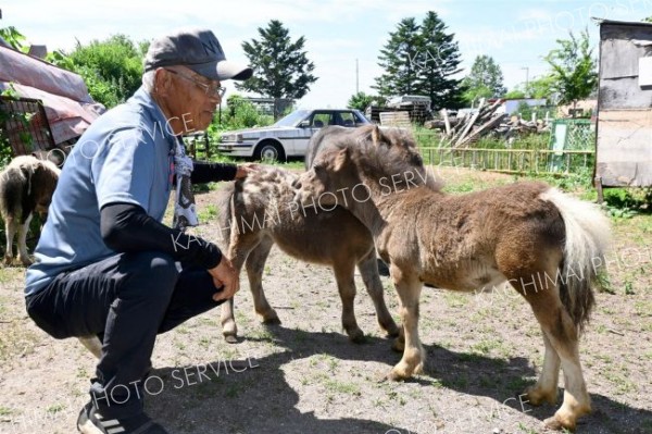 出産ラッシュに沸く　葛岡牧場の動物　音更