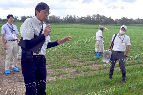雑草抑制、収穫工夫でロス減　飼料大豆実証事業