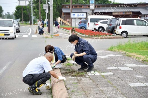 歩道の雑草取りきれいに　中札内村職員会が美化活動
