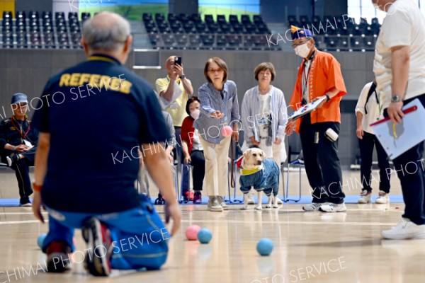 約１００人がボッチャ楽しむ　とかち身体障害者スポーツ交流大会