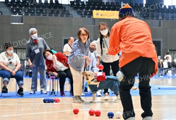 約１００人がボッチャ楽しむ　とかち身体障害者スポーツ交流大会 4
