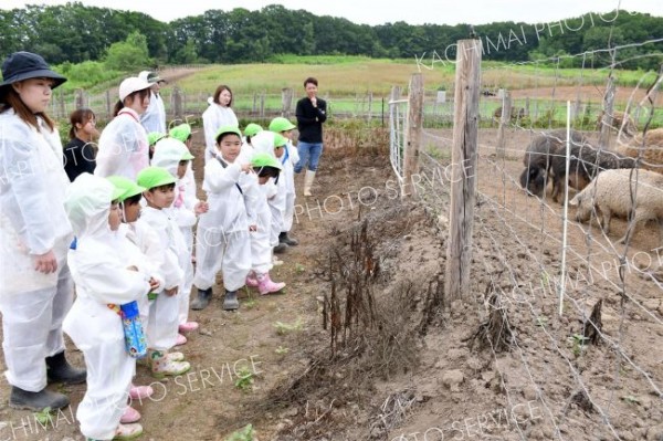 幕別の牧場に幼稚園児招き食育授業　十勝ロイヤルマンガリッツァファーム