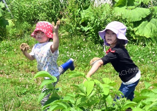 粘土団子を園内に投げる子どもたち