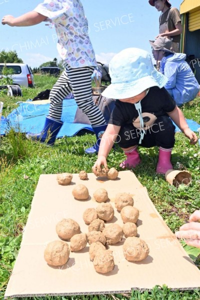 ミナイカシが浦幌町に「もりもりえん」整備　畑やビオトープ、迷路にも 3