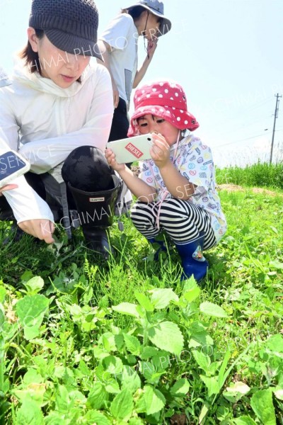 ミナイカシが浦幌町に「もりもりえん」整備　畑やビオトープ、迷路にも 4
