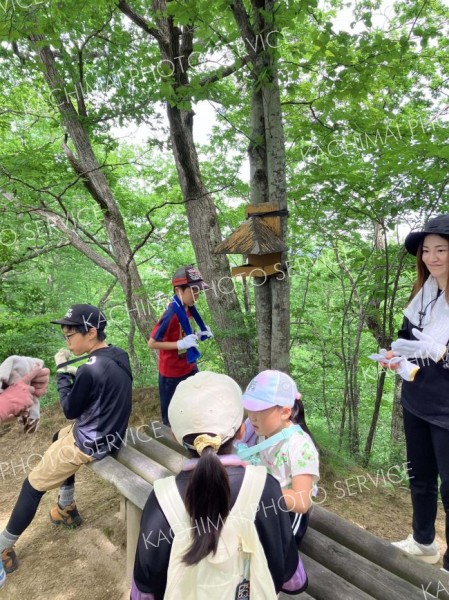 元気よく登山道を駆け上がり、夏山の森林浴を満喫した