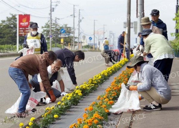 町民１４０人で市街地入口の花壇草取り　広尾
